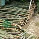 Bảng giá cọc tre tại Hà Nội chất lượng cao, giá rẻ nhất Miền Bắc