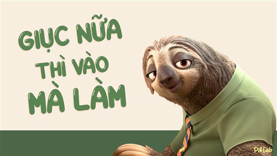 30+ ảnh nền Con lười Flash Zootopia giục nữa thì vào mà làm