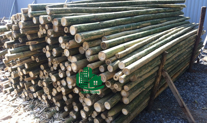 đóng cọc tre
