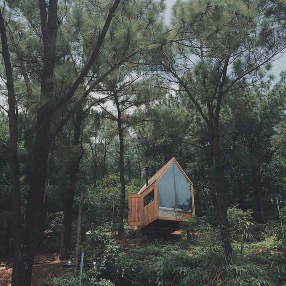 Hình 6. Ngôi nhà gỗ mini trên cây