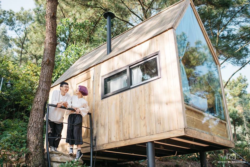 Hình 3: Hình ảnh Nhà Gỗ Rừng Thông của Homestay Nhà Bên Rừng
